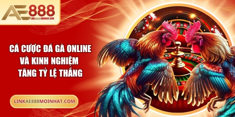 Cá cược đá gà online