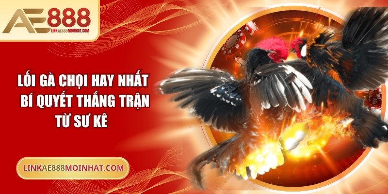 Lối gà chọi hay nhất
